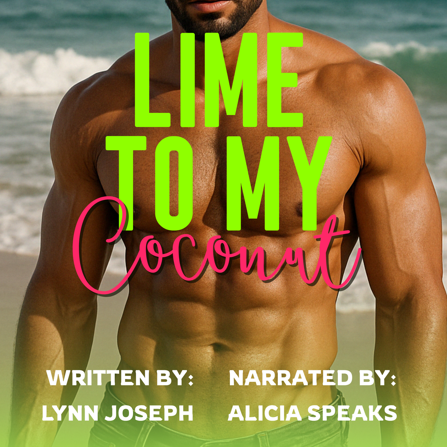 Lime to My Coconut Audiobook
