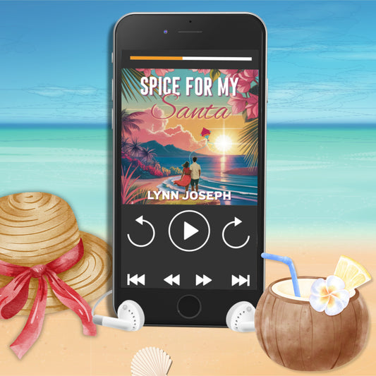 Spice for my Santa Audiobook